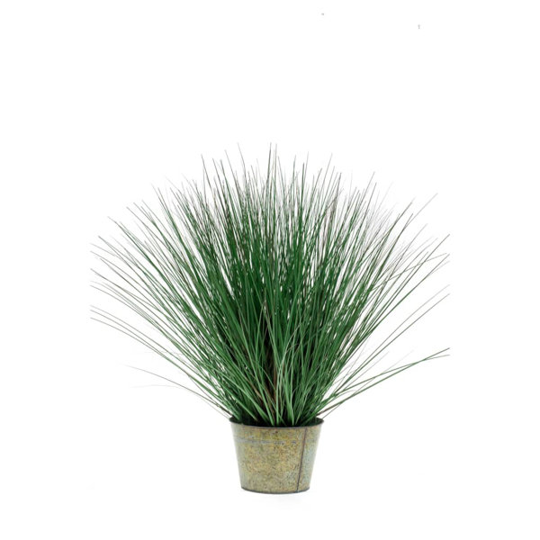 The Seasonal Aisle Emerald Artificial Wild Grass 80cm Wayfair.co.uk